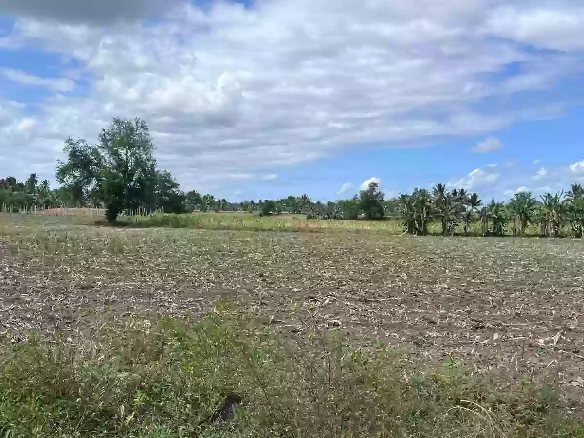 Lot for Sale — Agricultural Lot in Malungon, Sarangani, Philippines — Photo 2