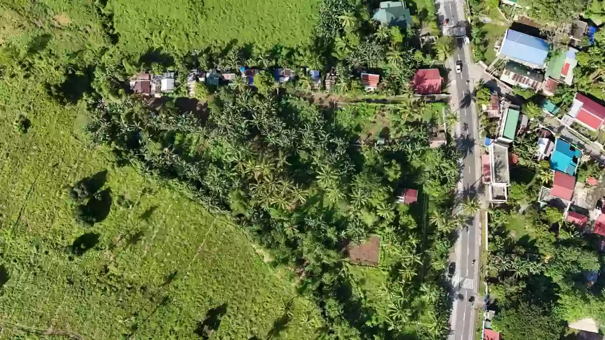 LOT 3-I — Agricultural Lot in Governor Jose T. Fuentebella National Highway, Tigaon, Camarines Sur — Photo 5
