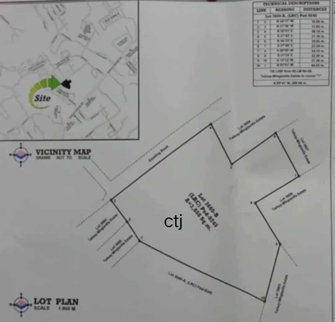 Lot For Sale at Talisay City — Residential Lot in Cebu, Philippines — Photo 2