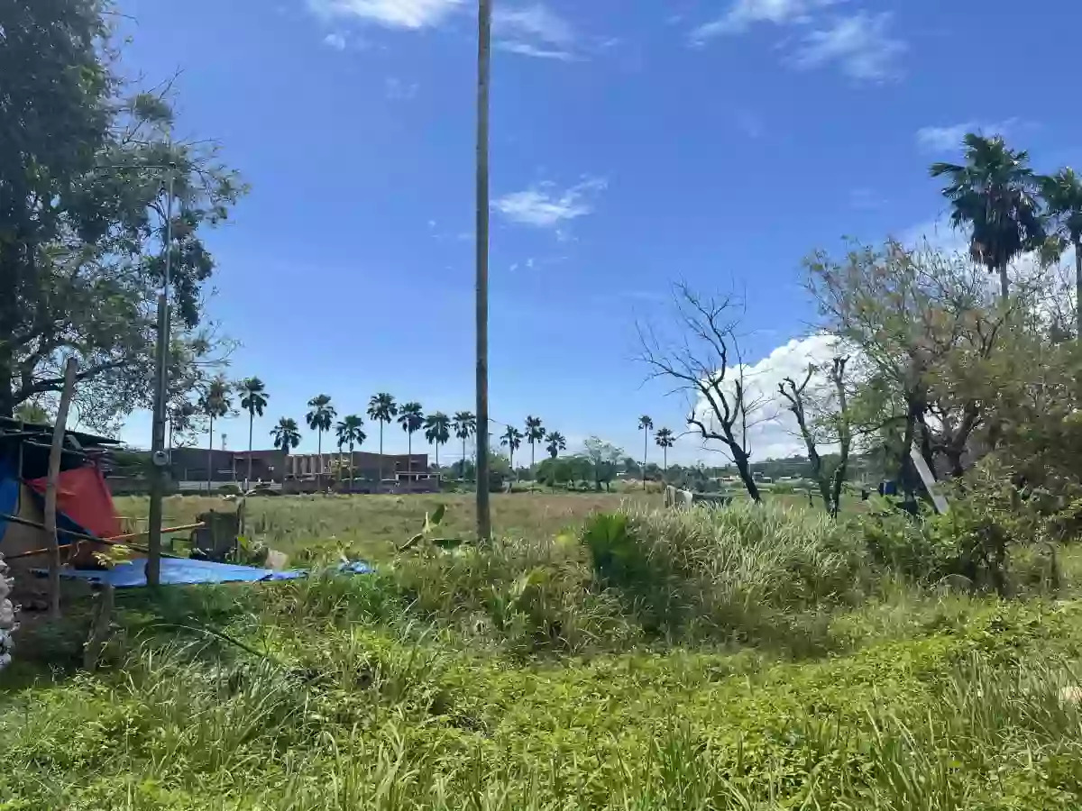 1.7 Hectare Agricultural Lot for Sale [TAX DEC] — Agricultural Lot in Liloan, Cebu, Philippines — Photo 2