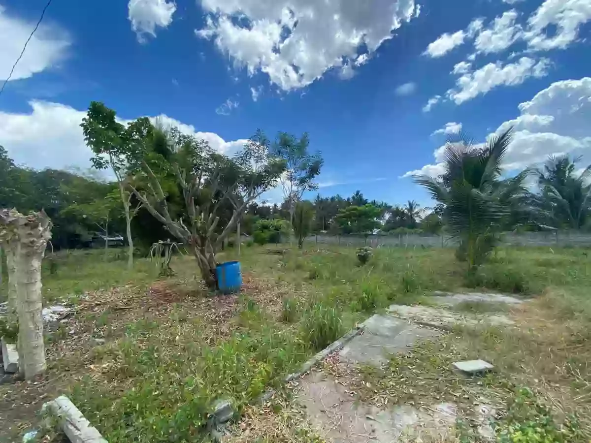 For Sale: Prime Vacant Lot — Agricultural Lot in TANGHAL COUNTRY HOMES, General Santos City, South Cotabato — Photo 2
