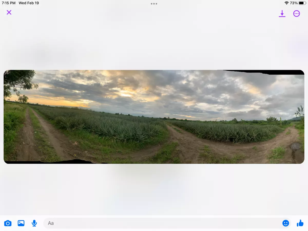 Polomolok, South Cotabato — Agricultural Lot in South Cotabato, Philippines — Photo 4