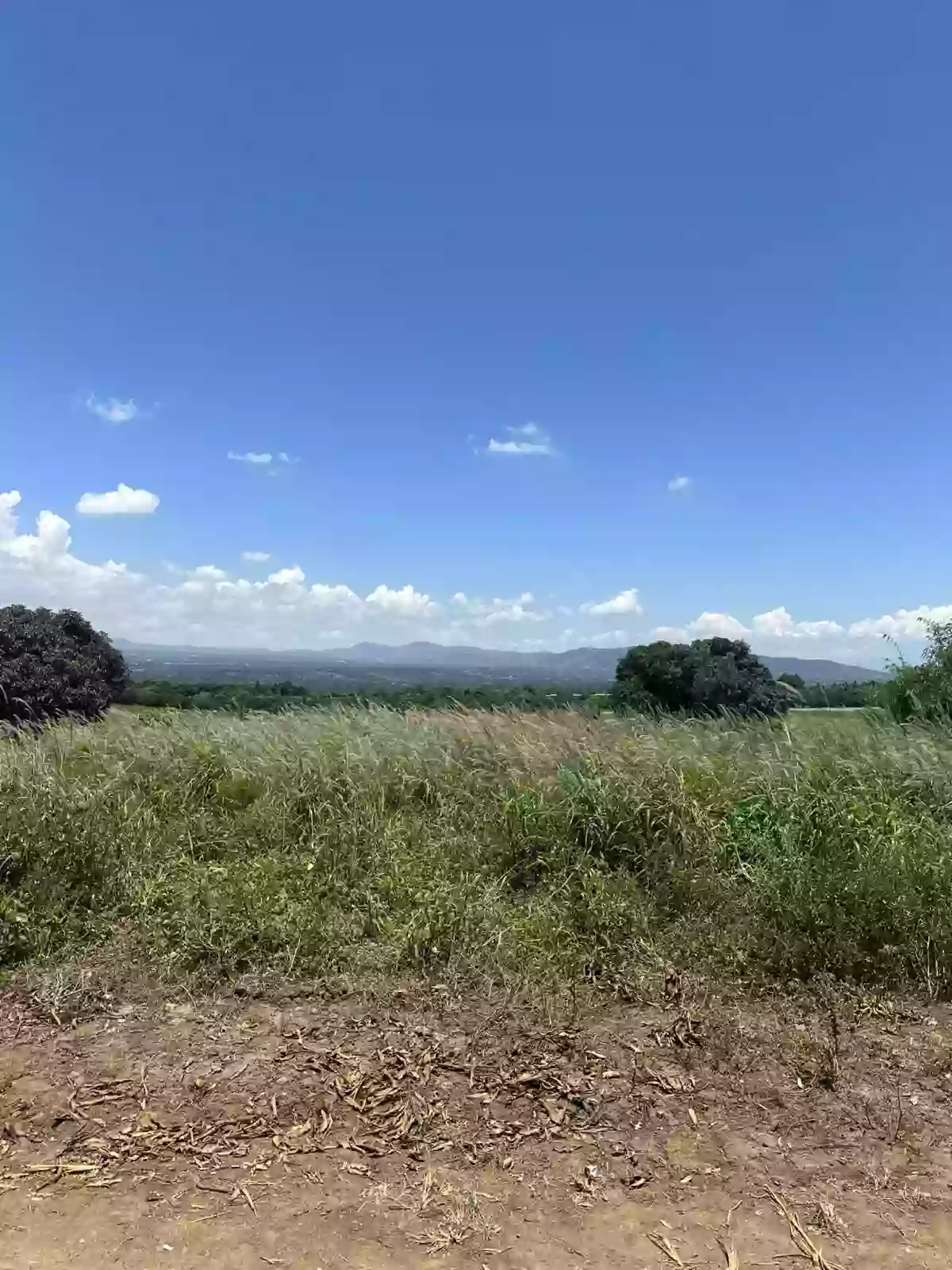 : Prime Agricultural Lot for Sale — Agricultural Lot in South Cotabato, Philippines — Photo 6