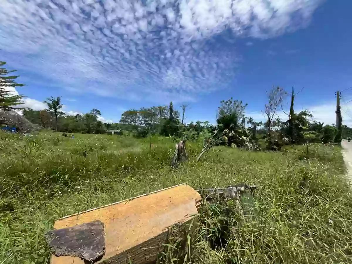 8,681 sqm AGRICULTURAL Lot for sale in COTCOT, LILOAN [TITLED] — Agricultural Lot in Liloan, Cebu, Philippines — Photo 3