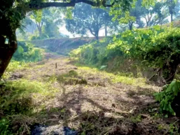 FUTURE SANCTUARY IN PULANGBATO CEBU CITY — Agricultural Lot in Cebu City, Cebu, Philippines — Photo 5