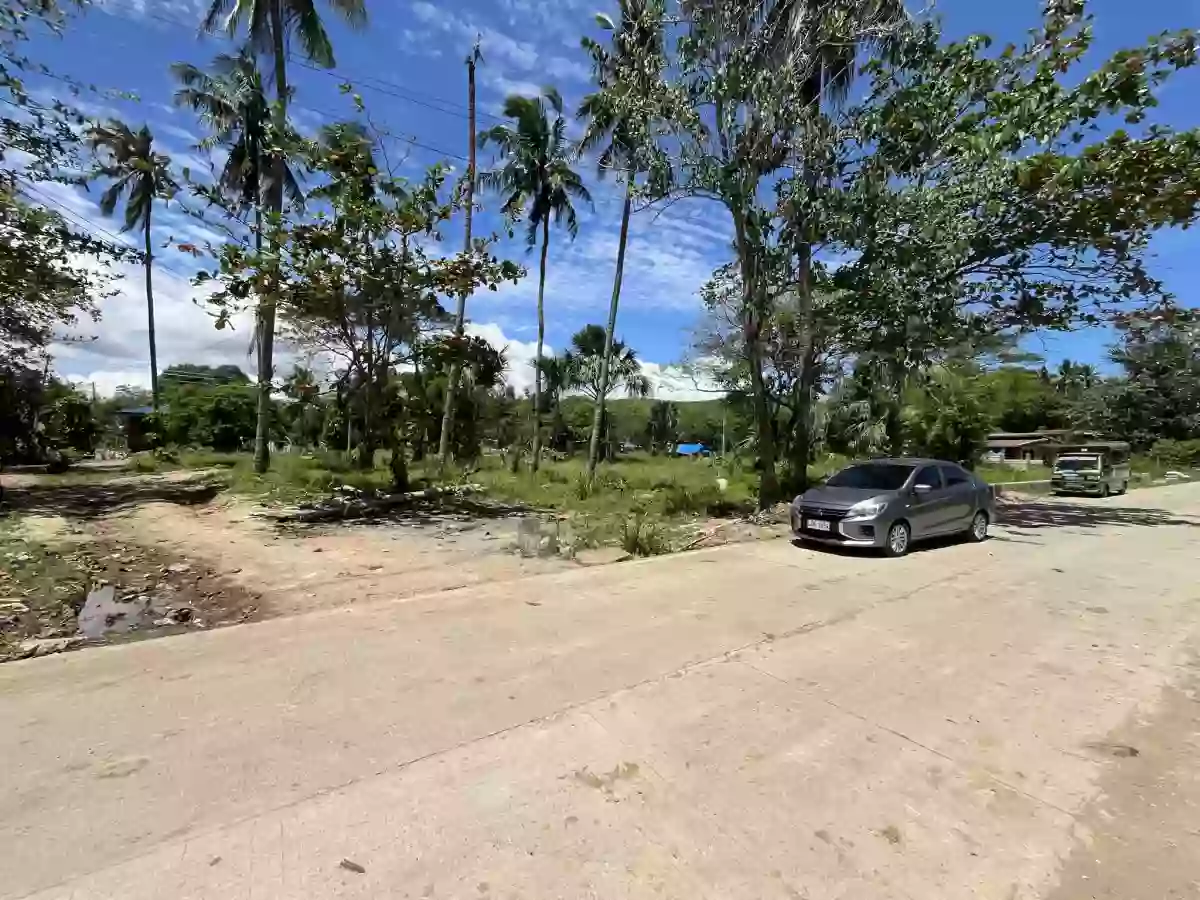 4,434 sqm AGRICULTURAL LOT FOR SALE IN COTCOT, LILOAN [TITLED] — Agricultural Lot in Liloan, Cebu, Philippines — Photo 5