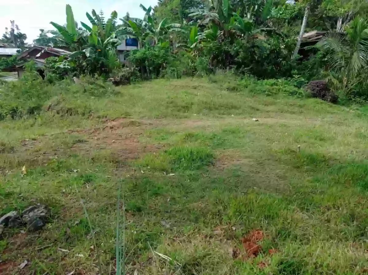 HOME LOT FOR SALE