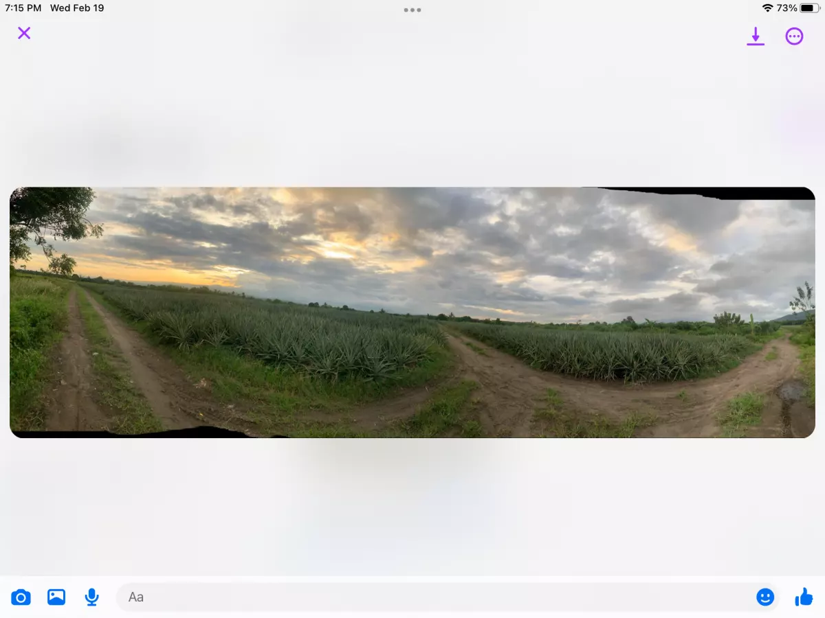 Polomolok, South Cotabato — Agricultural Lot in South Cotabato, Philippines — Photo 2
