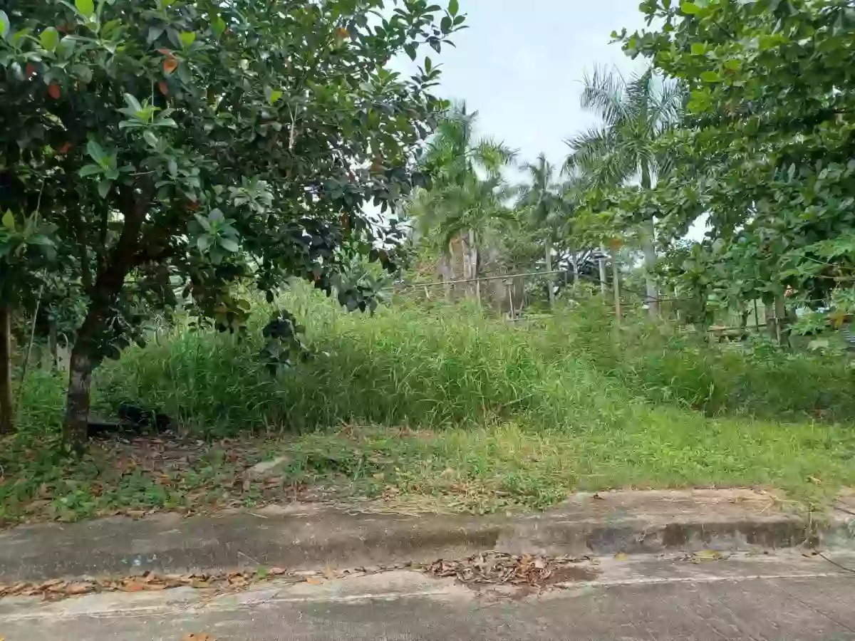 164sqm residential lot in El Monteverde in Lamac Consolacion — Residential Lot in New Orleans Street, Lamac, Consolacion — Photo 3