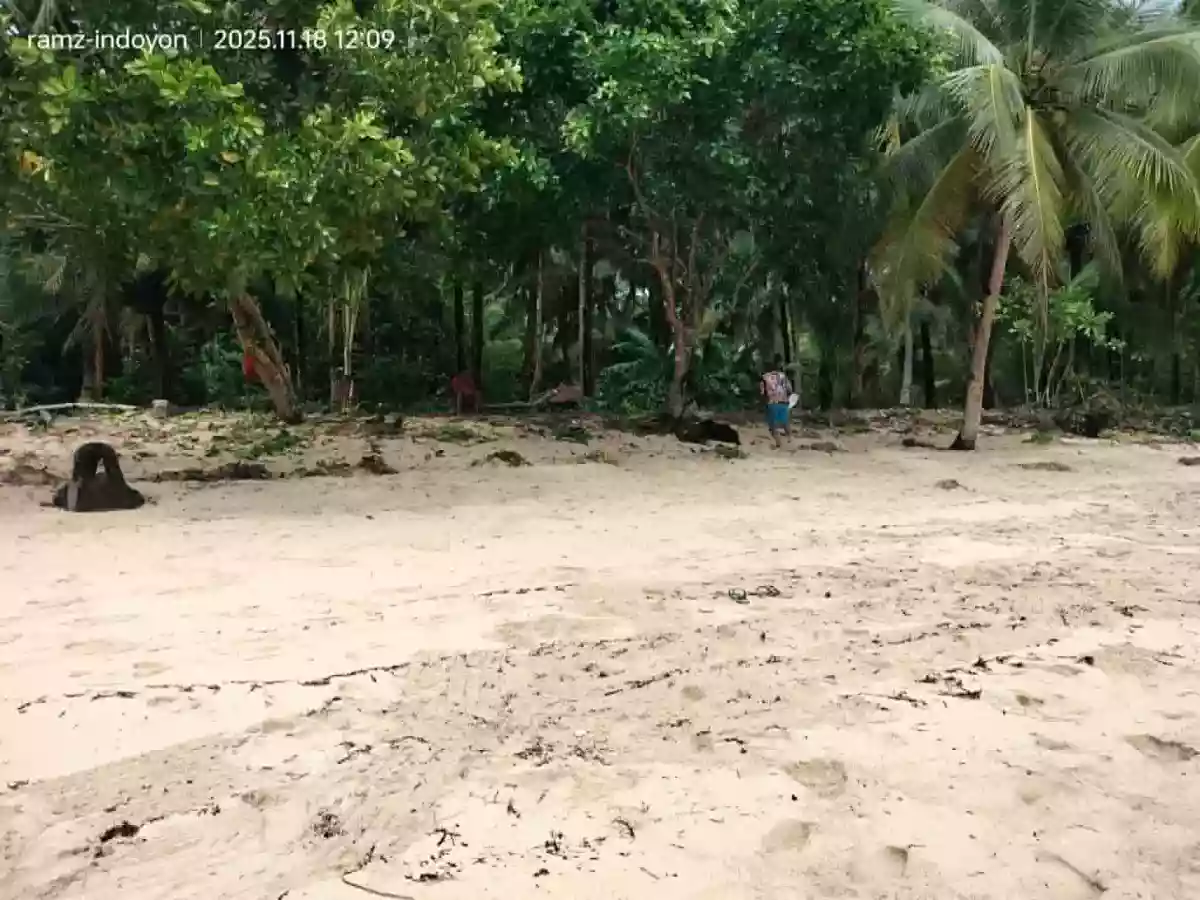 Beach Property in Hinatuan, Surigao. — Beach Lot in Surigao del Sur, Philippines — Photo 4