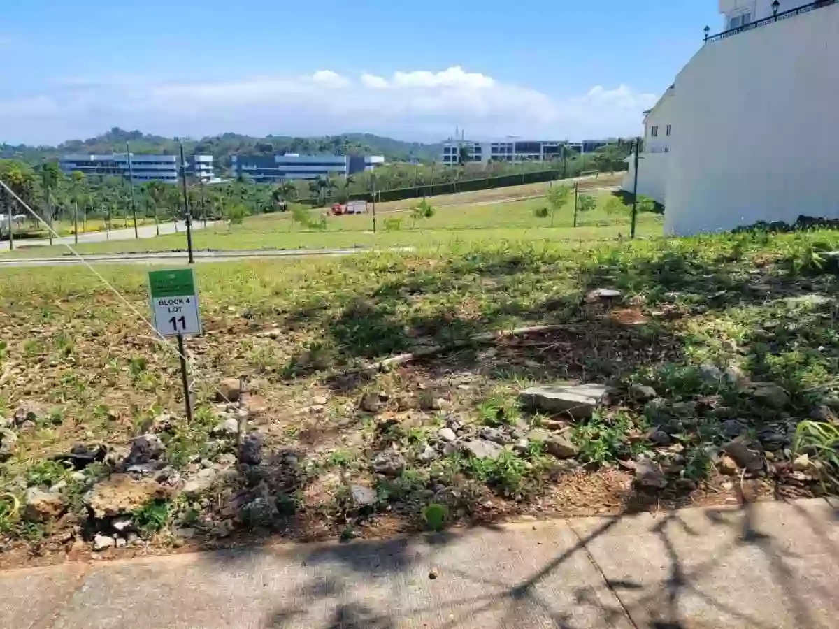 Lot For Sale in Boracay Aklan — Commercial Lot in Inc., Boracay, Malay — Photo 4