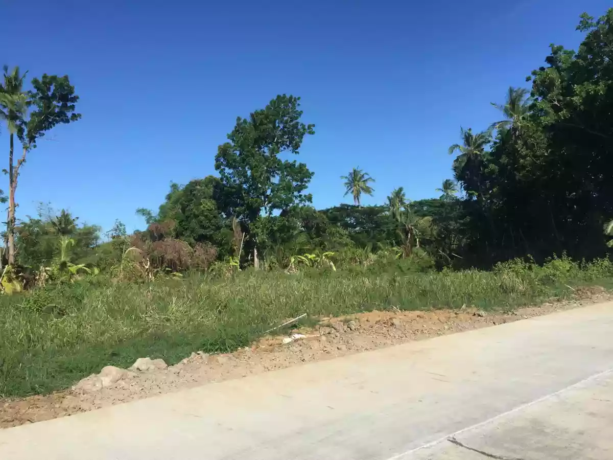Residential Lot For Sale — Residential Lot in Philippines — Photo 2