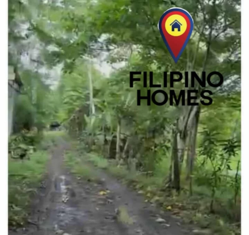 AGRI-FARM LOT FOR SALE — Agricultural Lot in Naga City, Camarines Sur, Philippines — Photo 5