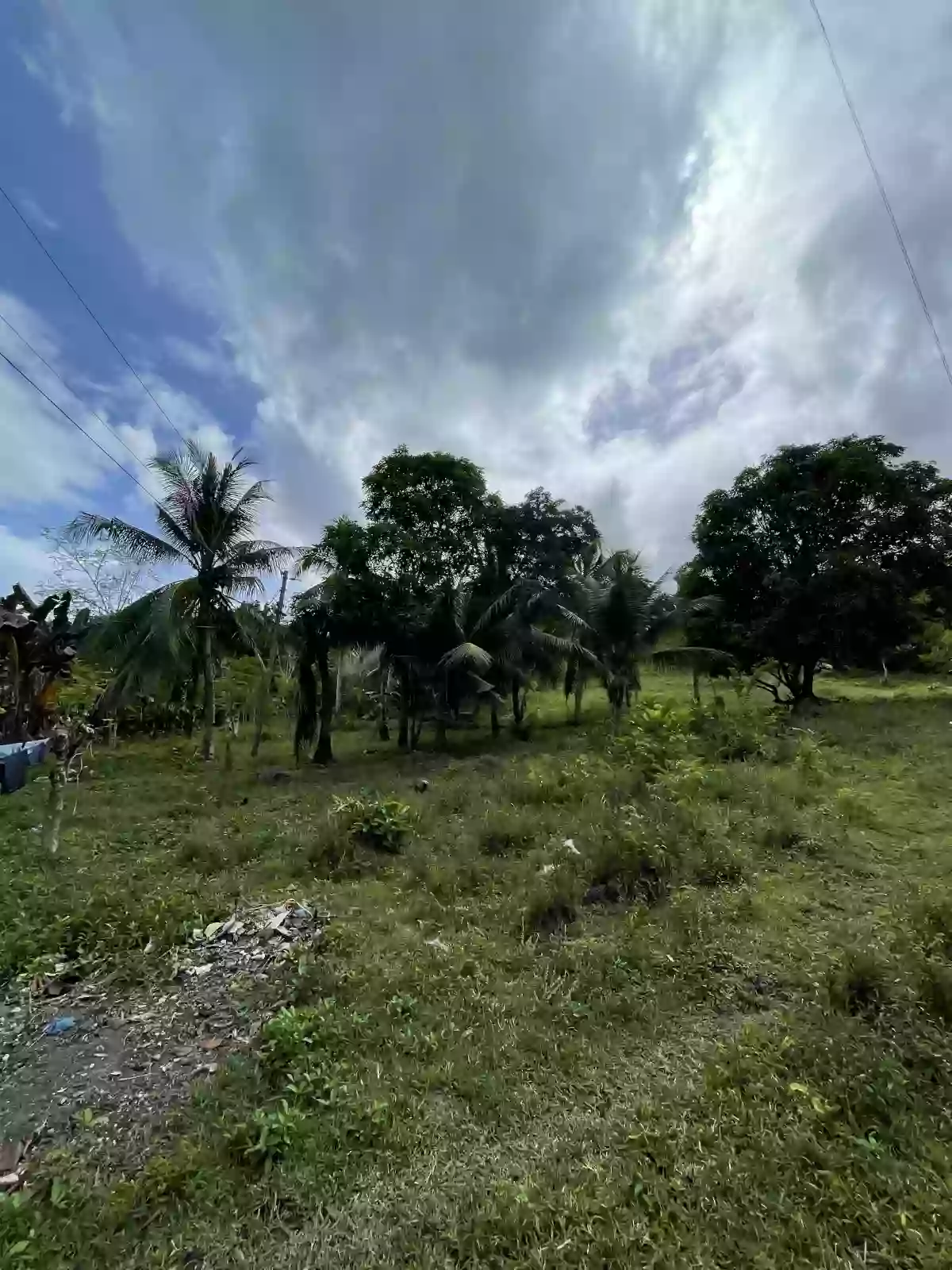 Lot for Sale along the National Highway in Tabuelan, Cebu — Agricultural Lot in Tabuelan, Cebu, Philippines — Photo 2