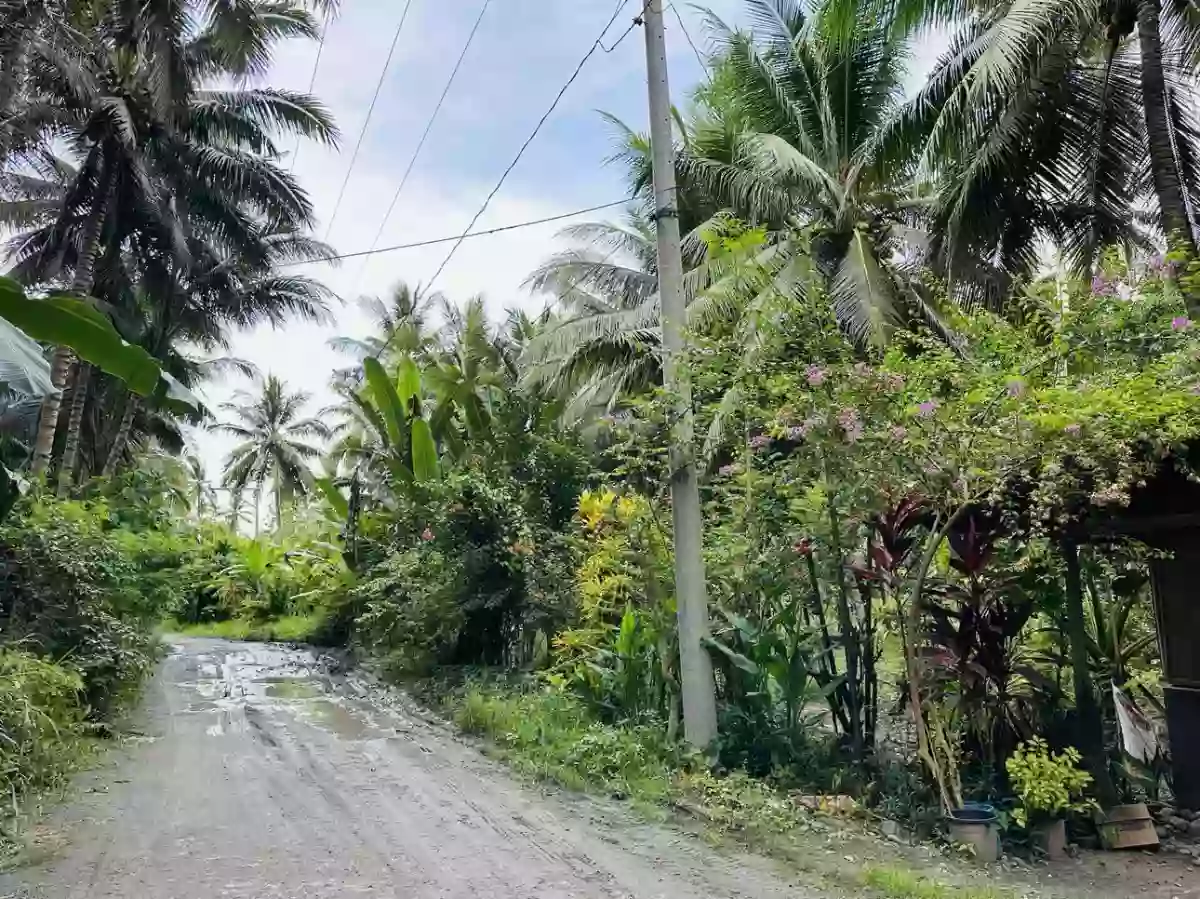 Tinagacan 9has at 3M — Agricultural Lot in General Santos City, South Cotabato, Philippines — Photo 2