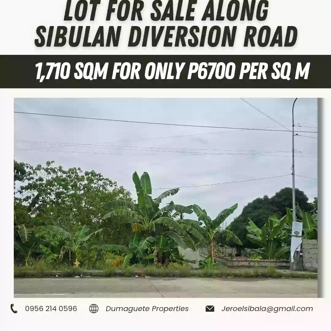 LOT FOR SALE along Magatas Sibulan Diversion Road