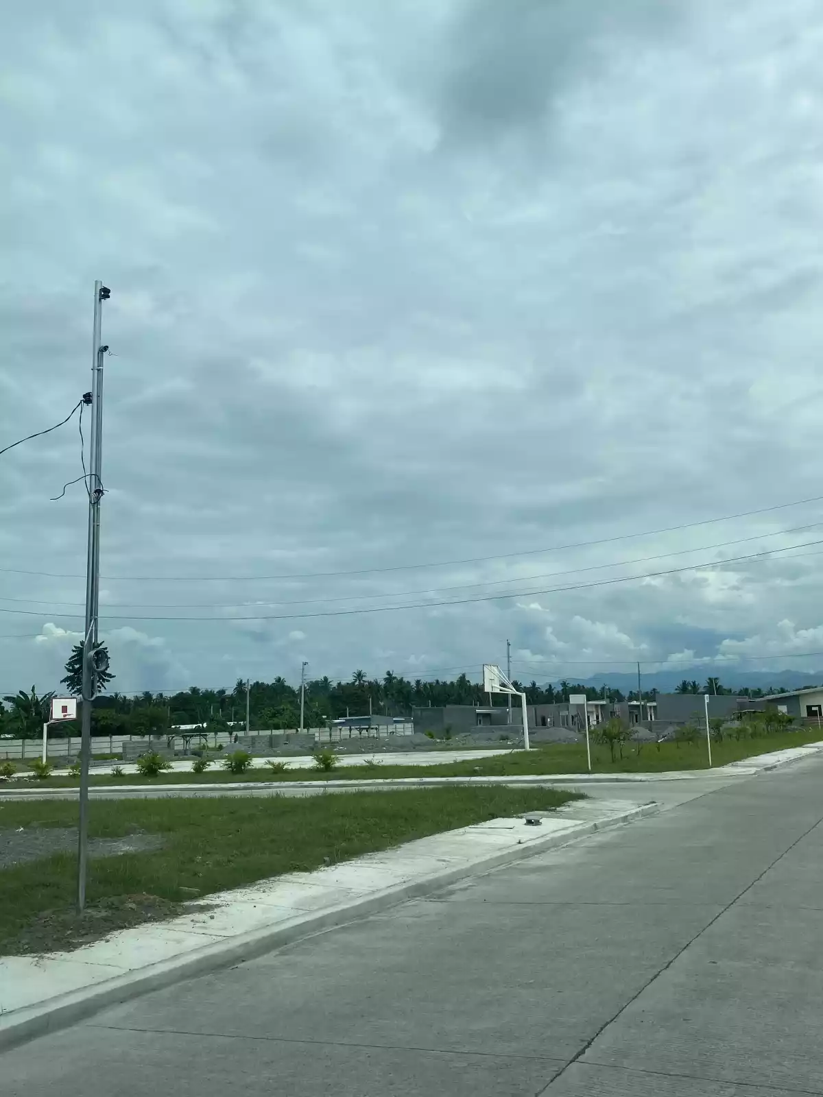 Vsm meadows