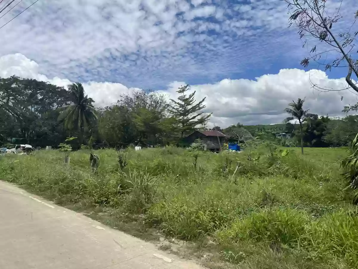 8,681 sqm AGRICULTURAL Lot for sale in COTCOT, LILOAN [TITLED] — Agricultural Lot in Liloan, Cebu, Philippines — Photo 2
