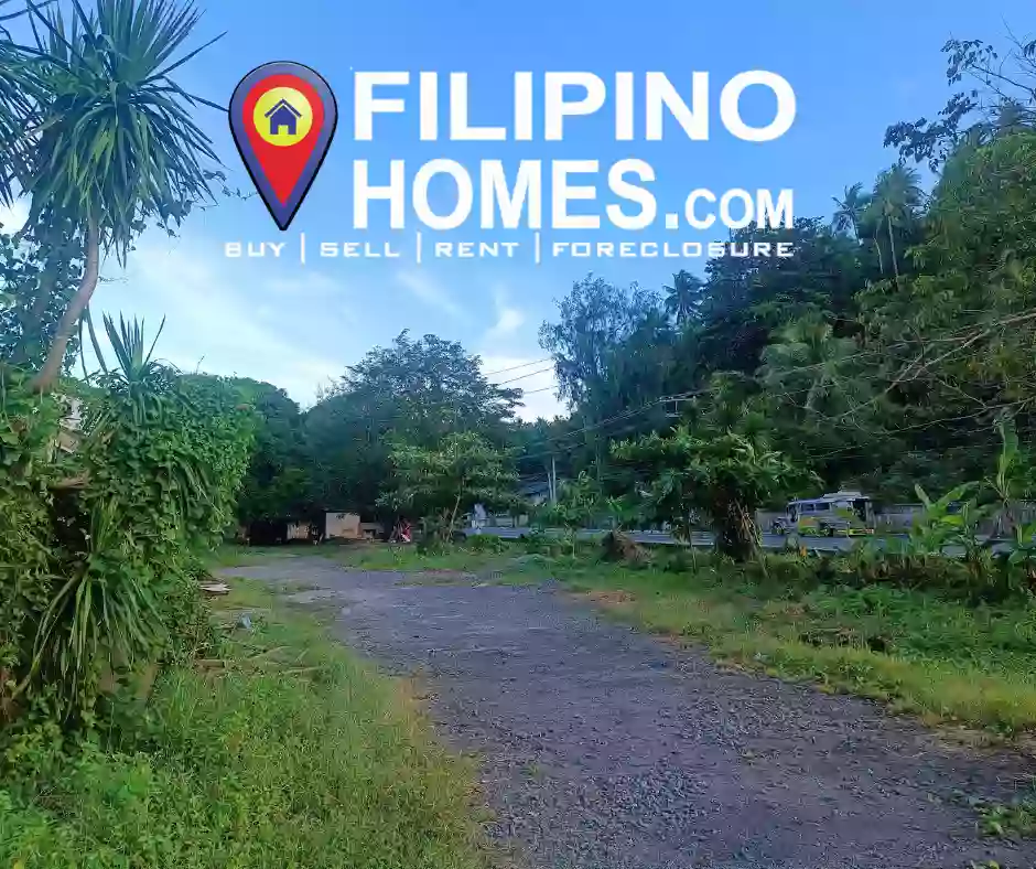 For sale Prime Commercial Lot with Beach Front Along National Highway Gate way to Bicol and Manila Located in Atimonan Quezon — Beach Lot in Quezon, Philippines — Photo 5