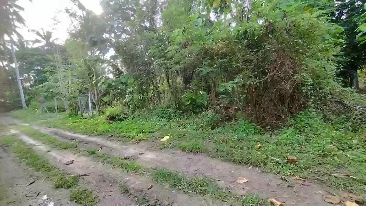Residential Lot For Sale — Residential Lot in Purok 7, General Santos City, South Cotabato — Photo 3