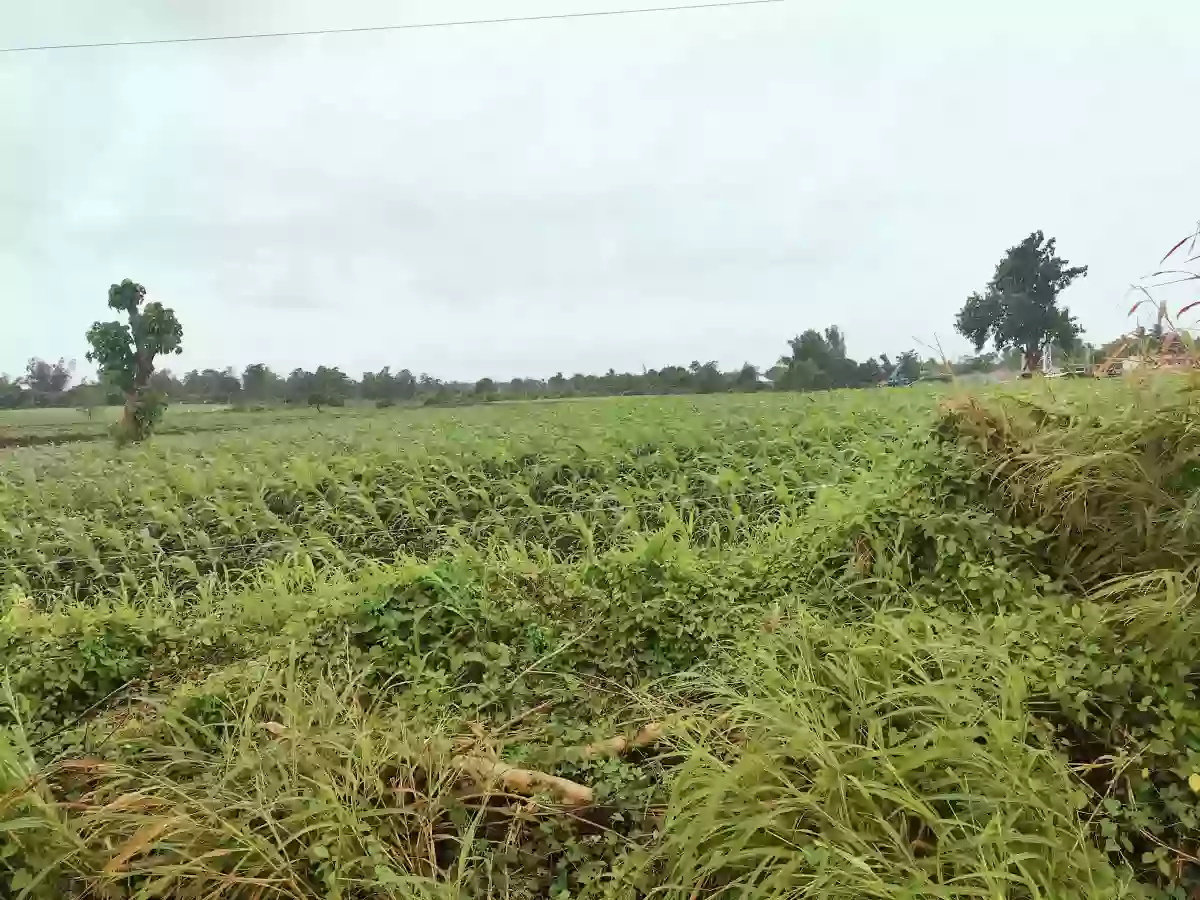 LOT FOR SALE!!!