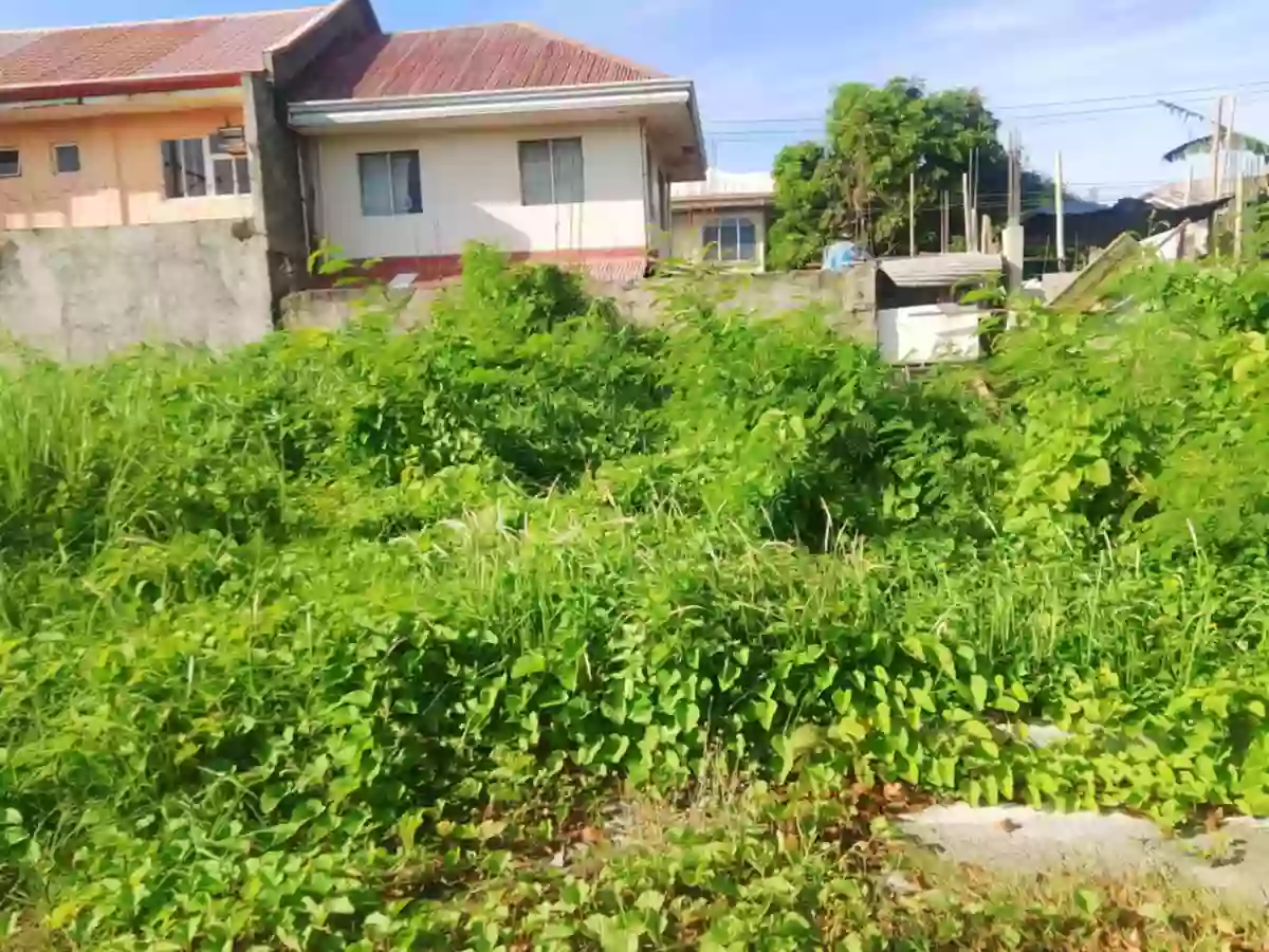 Lots for sale Monterosa Residential Estate, Madurriao Iloilo City!!! — Residential Lot in Mandurriao, Iloilo City, Iloilo — Photo 4