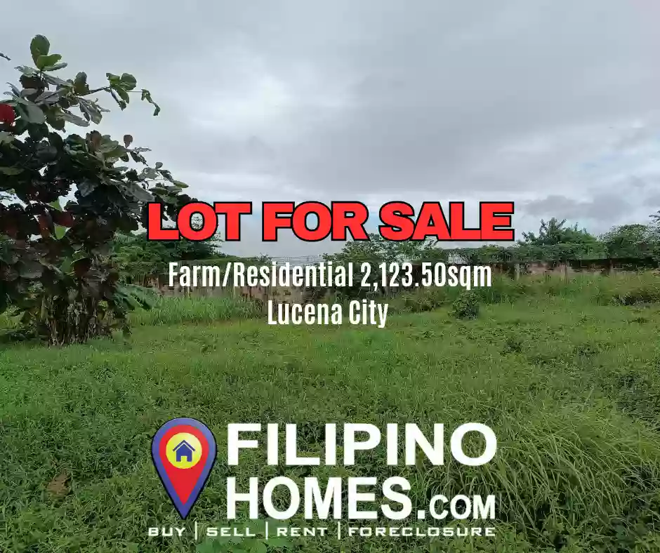 Lot For Sale in Lucena City clean title, Good for Residential/Apartment/mini-resort 4mins ride to SM Lucena