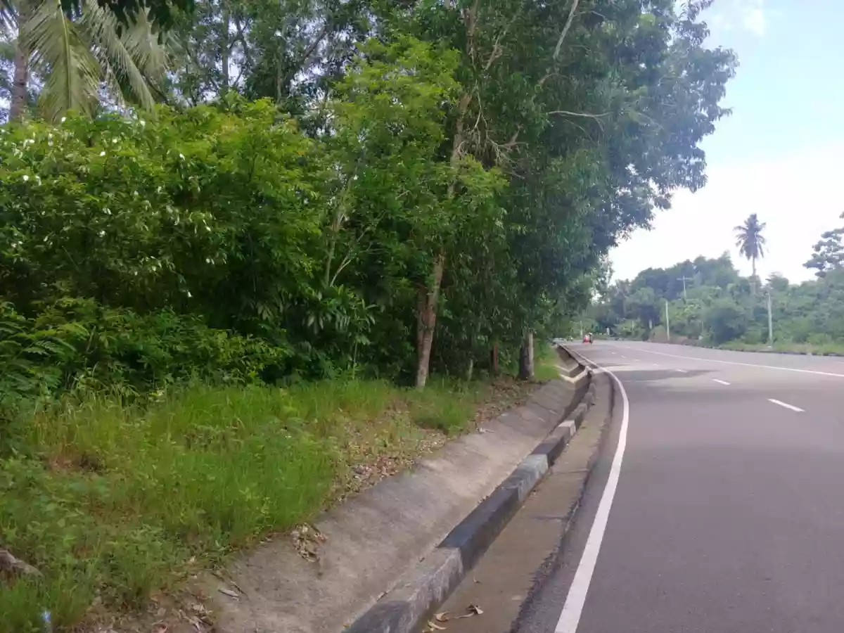 Land for Sale — Agricultural Lot in Guimaras, Philippines — Photo 4