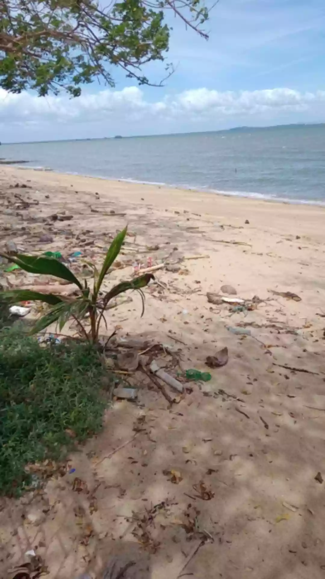 Beach Lot/White Sand Beach — Beach Lot in Guimaras, Philippines — Photo 6