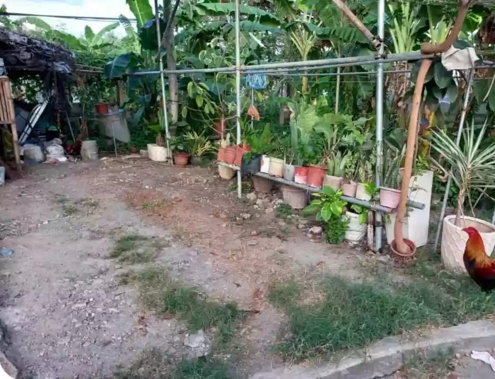 Lot for Sale 101 Sqm Global  Raphael Homes Subdivision, Biasong, Talisay, Cebu — Residential Lot in Central Biasong, Talisay, Cebu — Photo 4