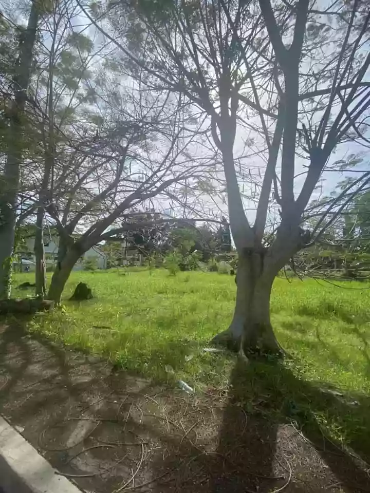 LOT FOR SALE IN SOUTHGROVE DAVAO — Residential Lot in Quimpo Boulevard, Talomo, Davao City — Photo 4