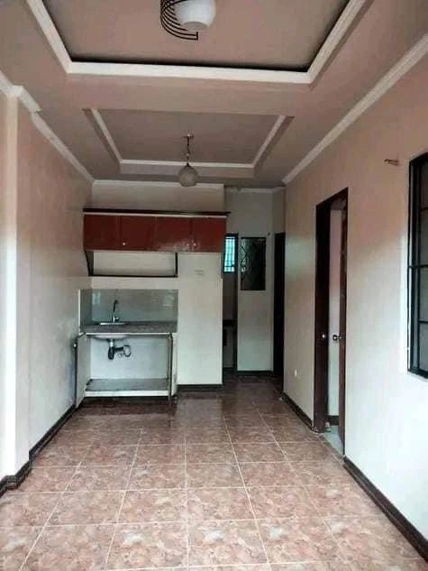 PROPERTY FOR SALE IN MARGARITA BAJADA, DAVAO CITY — Apartment in Davao City, Davao del Sur, Philippines — Photo 6
