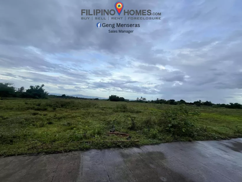 Lot for Sale located in Cadlan Pili Camarines Sur — Agricultural Lot in Pili, Camarines Sur, Philippines — Photo 2