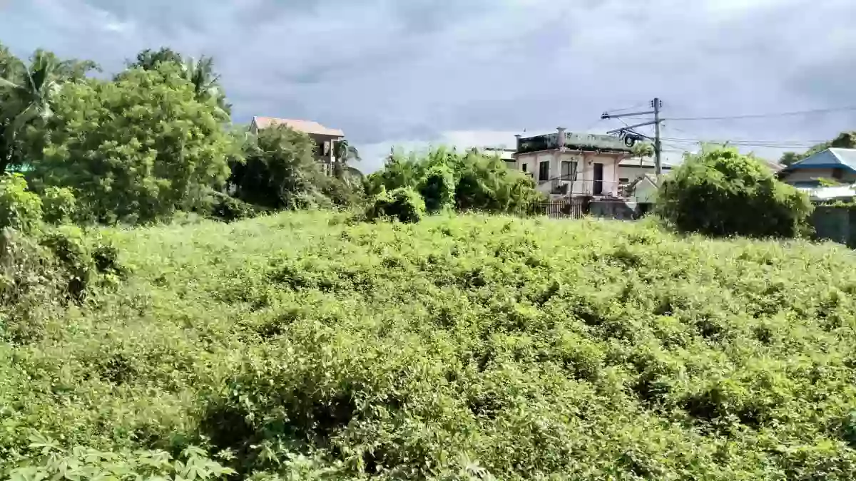 CONSOLACION LOT FOR SALE! — Residential Lot in Consolacion, Cebu, Philippines — Photo 4