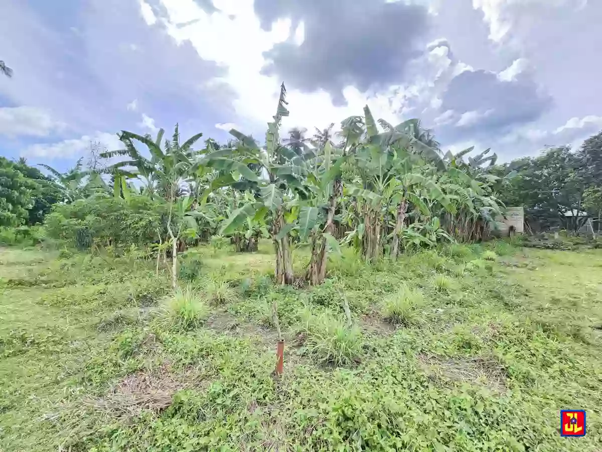 Rush Sale! 1,099 sqm Lot in East Balabag Valencia, Negros Oriental [available] — Residential Lot in Valencia, Negros Oriental, Philippines — Photo 2
