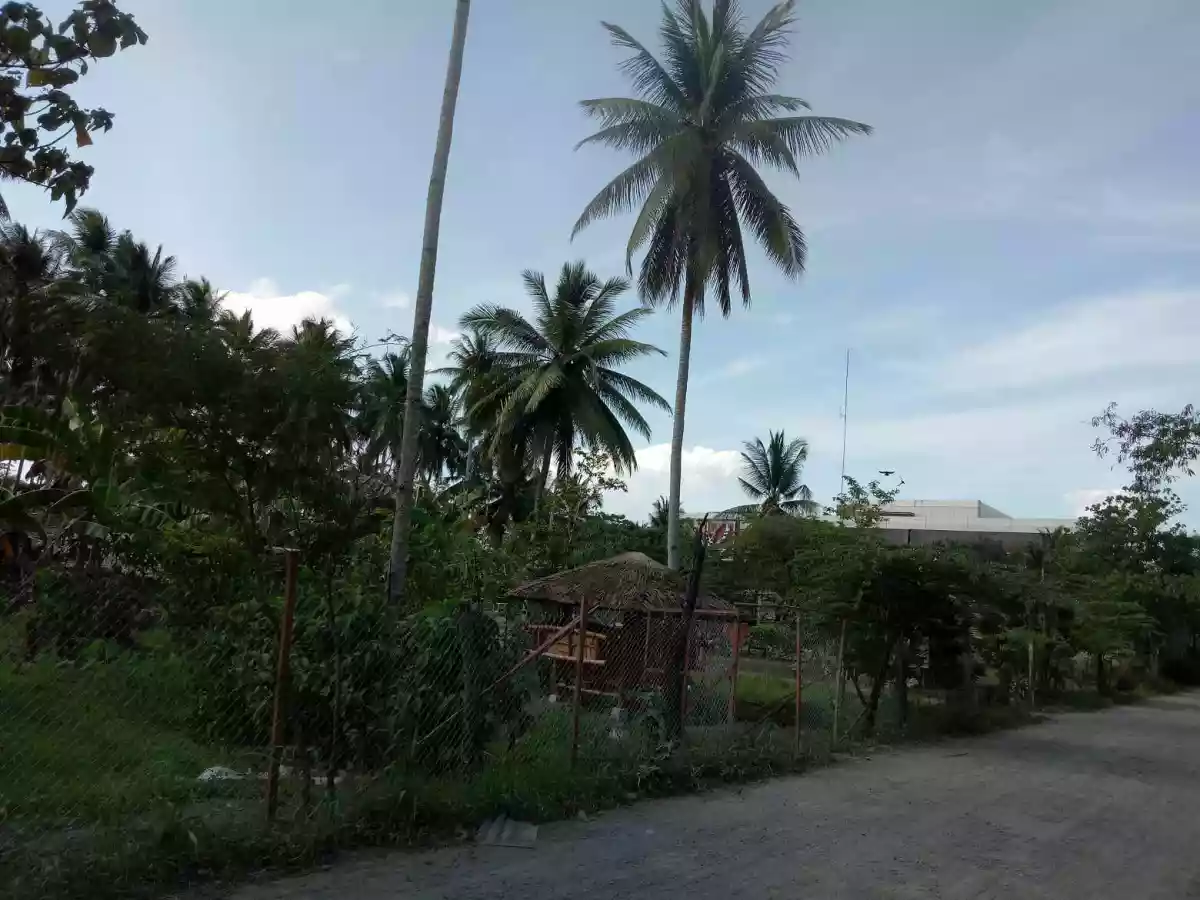 7M LOT FOR SALE IN TAGUM — Residential Lot in Bansalan, Davao del Sur, Davao — Photo 7