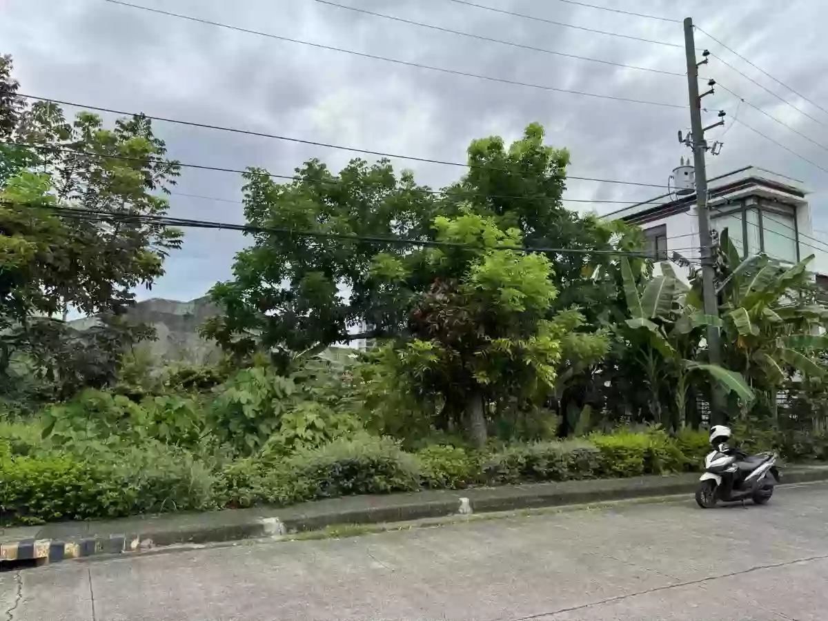 300 sqm LOT FOR SALE at Vistamar — Residential Lot in Lapu-lapu City, Cebu, Philippines — Photo 4