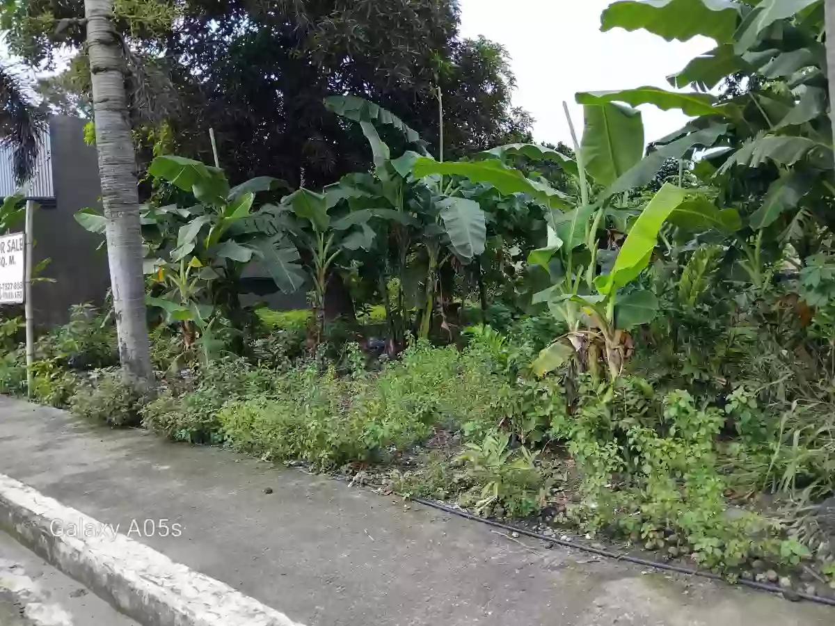 Commercial lot for sale — Commercial Lot in Negros Occidental, Philippines — Photo 5