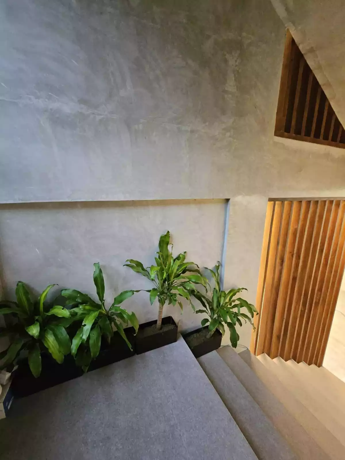 6 Storey House Maria Luisa — House and Lot in Paseo John, Cebu City, Cebu — Photo 2