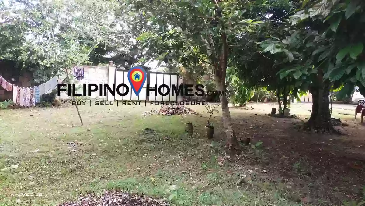 Big Lot for Sale — Residential Lot in Camarines Sur, Philippines — Photo 5