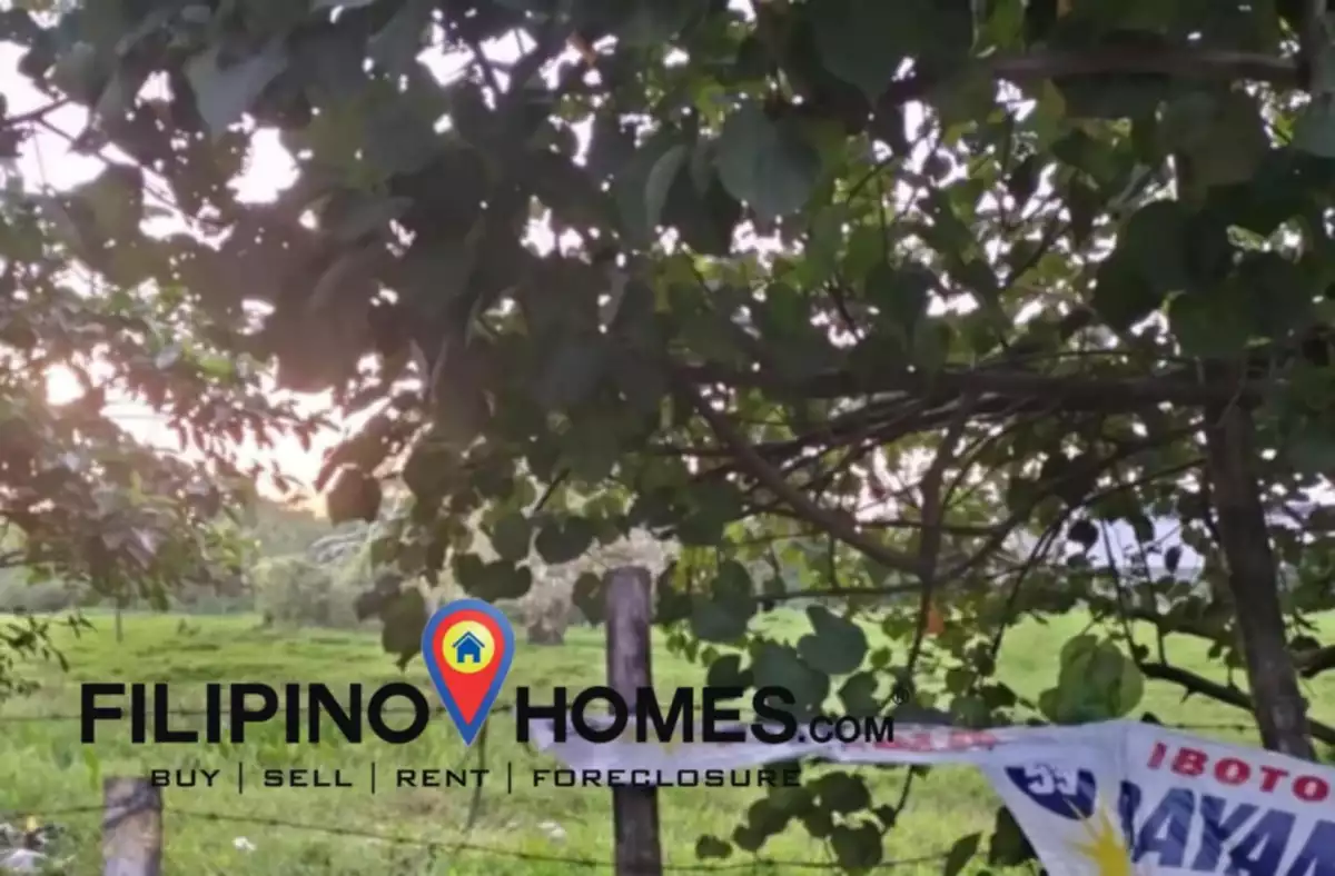 Industrial Lot For Sale !! — Industrial Lot in Pili, Camarines Sur, Philippines — Photo 4