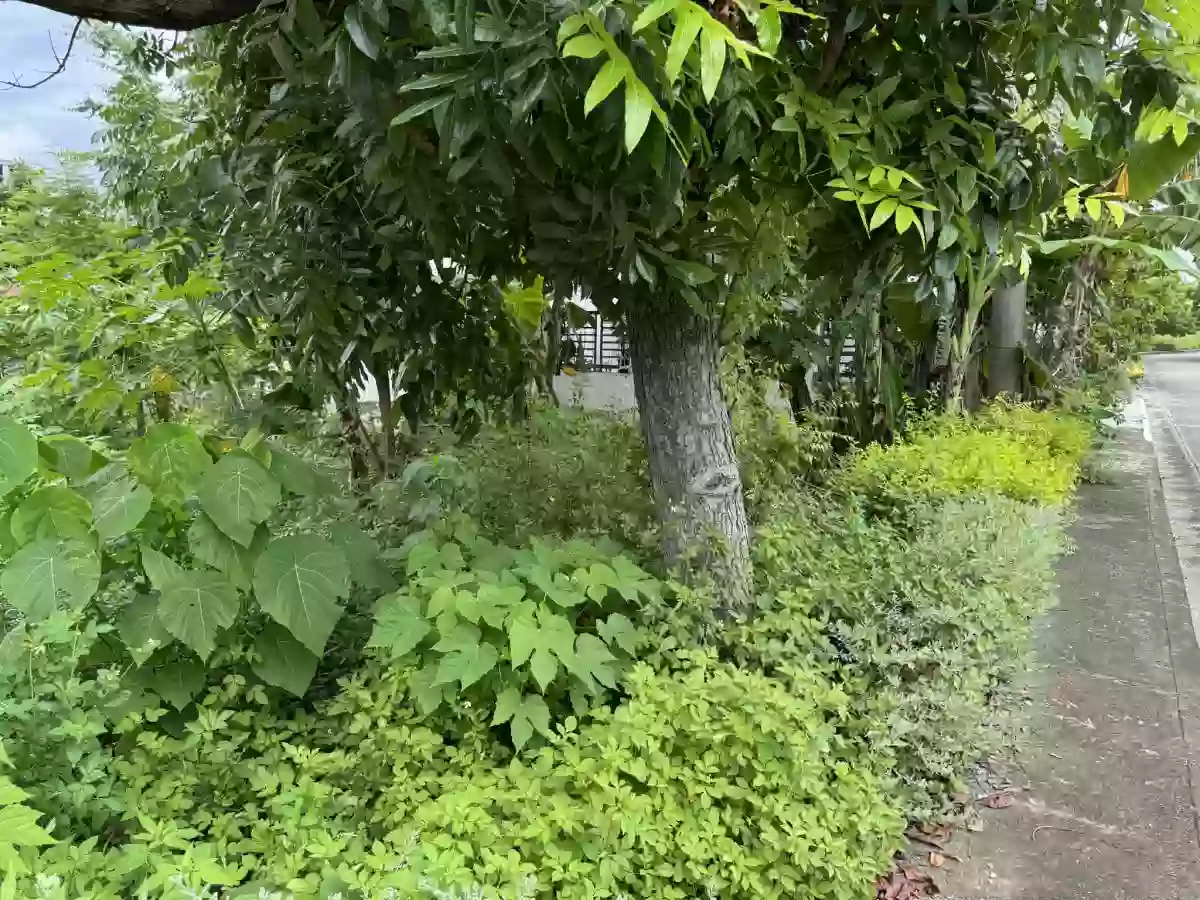 300 sqm LOT FOR SALE at Vistamar — Residential Lot in Lapu-lapu City, Cebu, Philippines — Photo 5