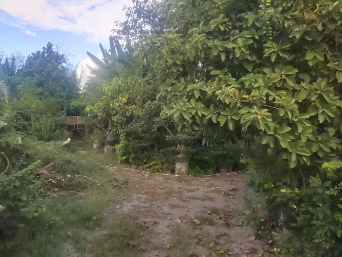 Gated and Fully-fenced Residential Lot in Apopong — Residential Lot in General Santos City (Dadiangas), South Cotabato, Philippines — Photo 4