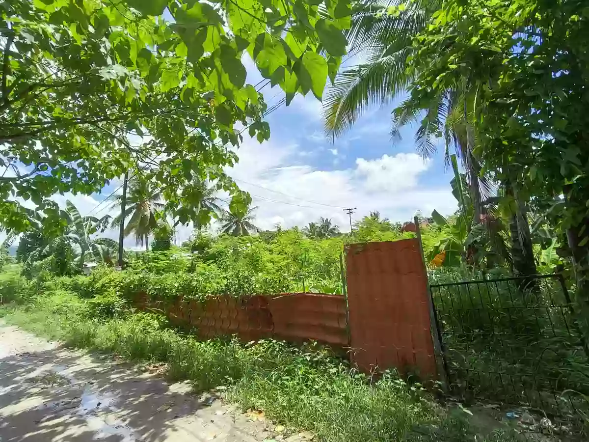 Titled Lot FOR SALE — Residential Lot in Danao City, Cebu, Philippines — Photo 2