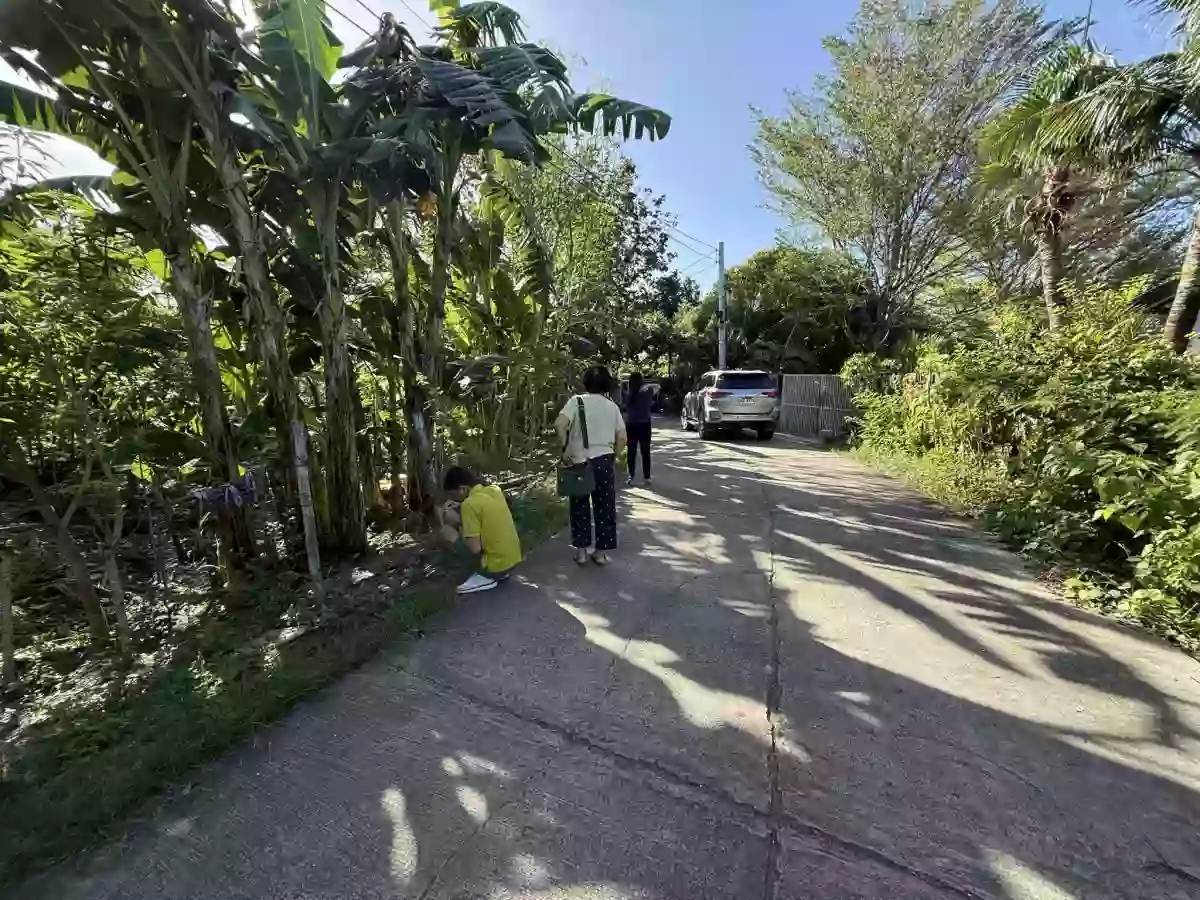 Lot for sale in Cordova Cebu — Residential Lot in Cordova, Cebu, Philippines — Photo 3