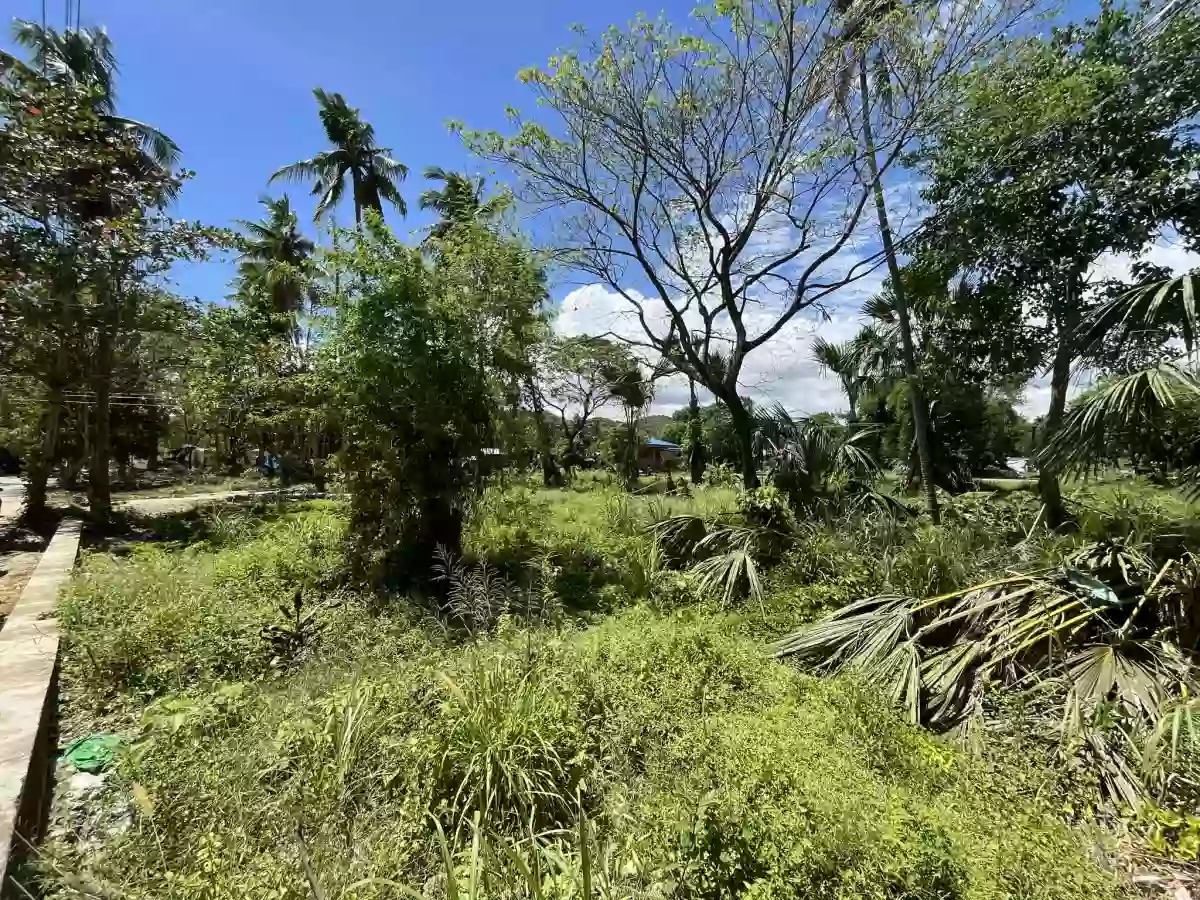 4,434 sqm AGRICULTURAL LOT FOR SALE IN COTCOT, LILOAN [TITLED] — Agricultural Lot in Liloan, Cebu, Philippines — Photo 3