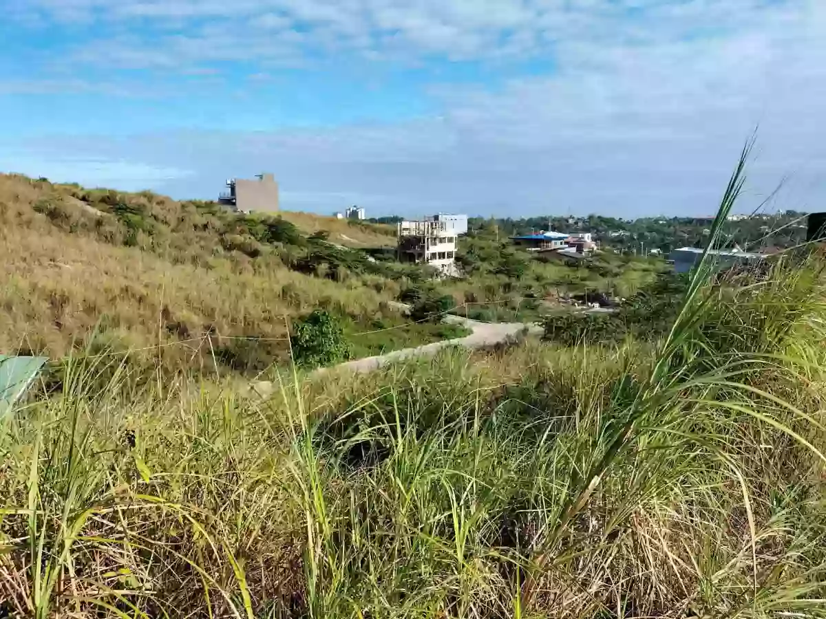 Residential Lot at El Monte Grande — Residential Lot in Liloan, Cebu, Philippines — Photo 2