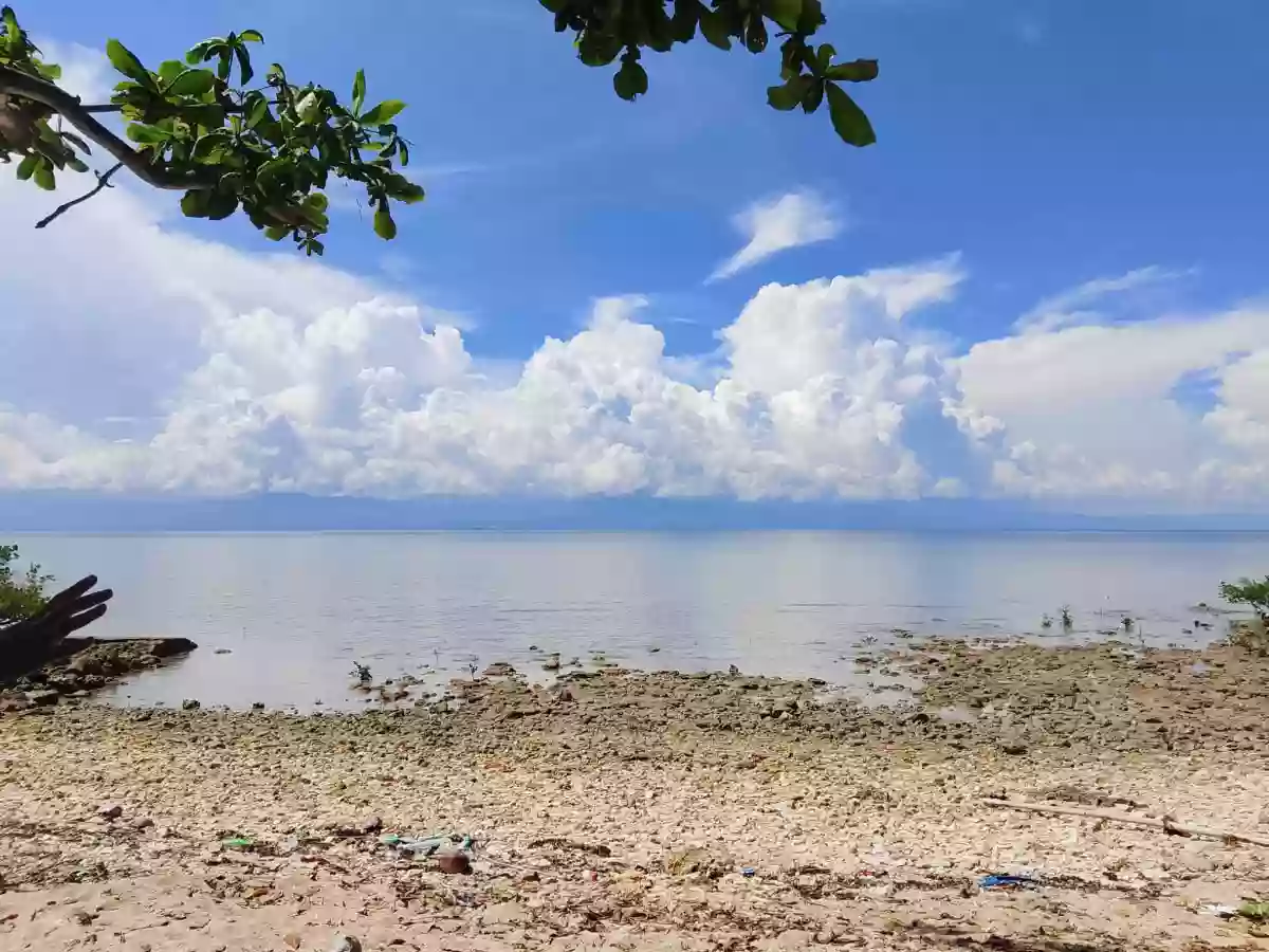 Beach Lot in Dumanjug