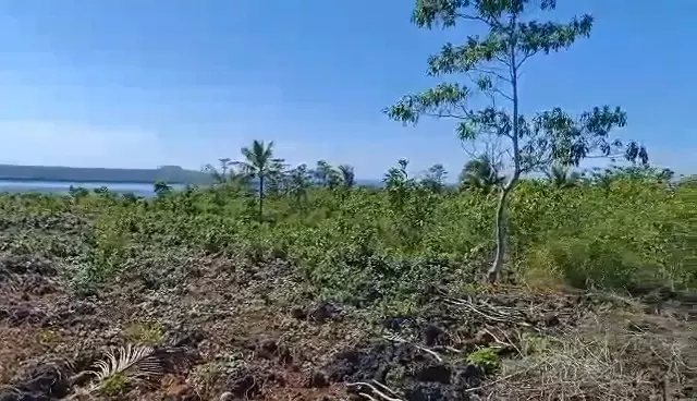 For Sale 2,000sqm Overlooking Agricultural Lot in Mercedes, Poro, Camotes — Agricultural Lot in Poro, Cebu, 6049 — Photo 6