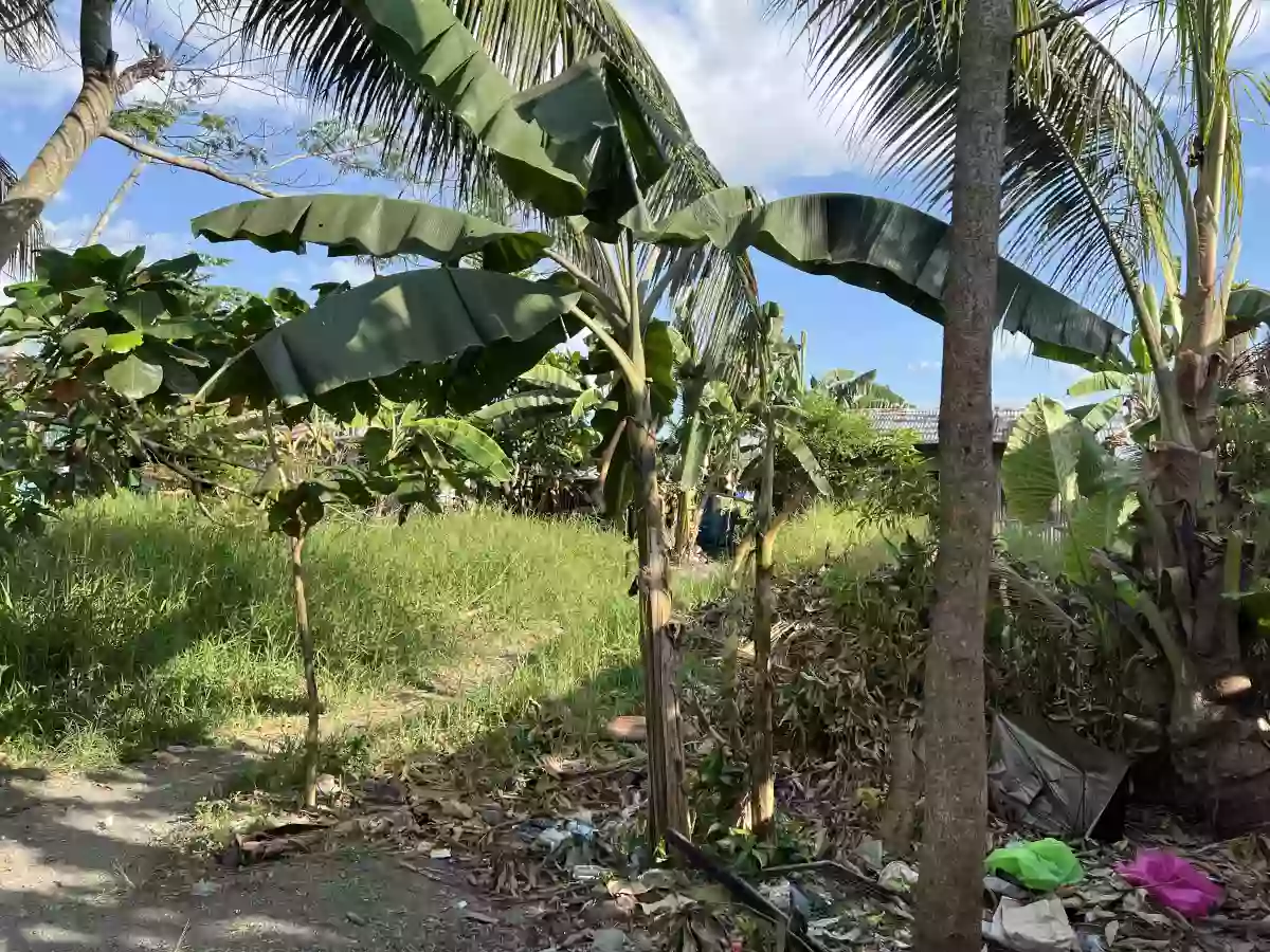 Rush Sale: Residential Lot Near Gaisano City Cabadbaran, Cabadbaran City — 492 sqm — Residential Lot in Cabadbaran City, Agusan del Norte, 8605 — Photo 3